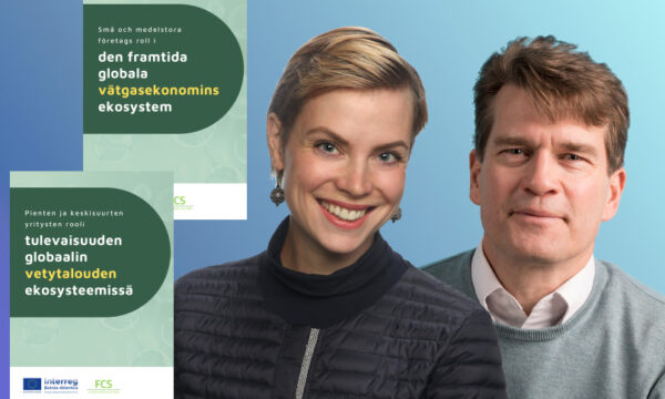 Kaisa Penttilä, Kjell-Owe Ahlskog rapport