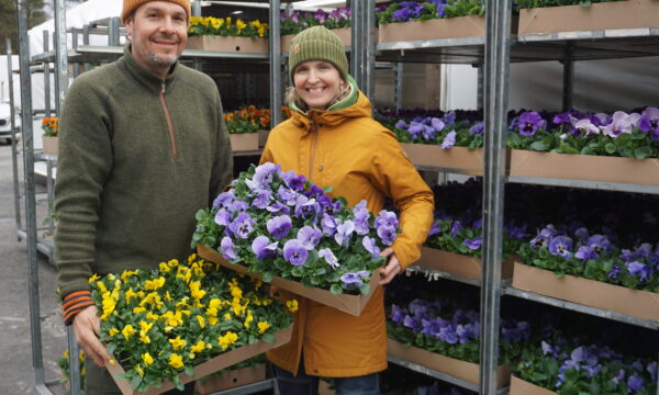 Kenneth Gillberg, Lena Gillberg Blomtorget