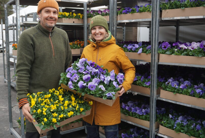 Kenneth Gillberg, Lena Gillberg Blomtorget