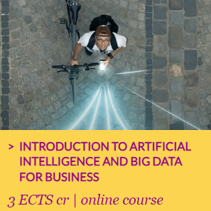 VAMK+ Introduction to Artificial Intelligence and Big Data for Business - 3 ECTS | online course