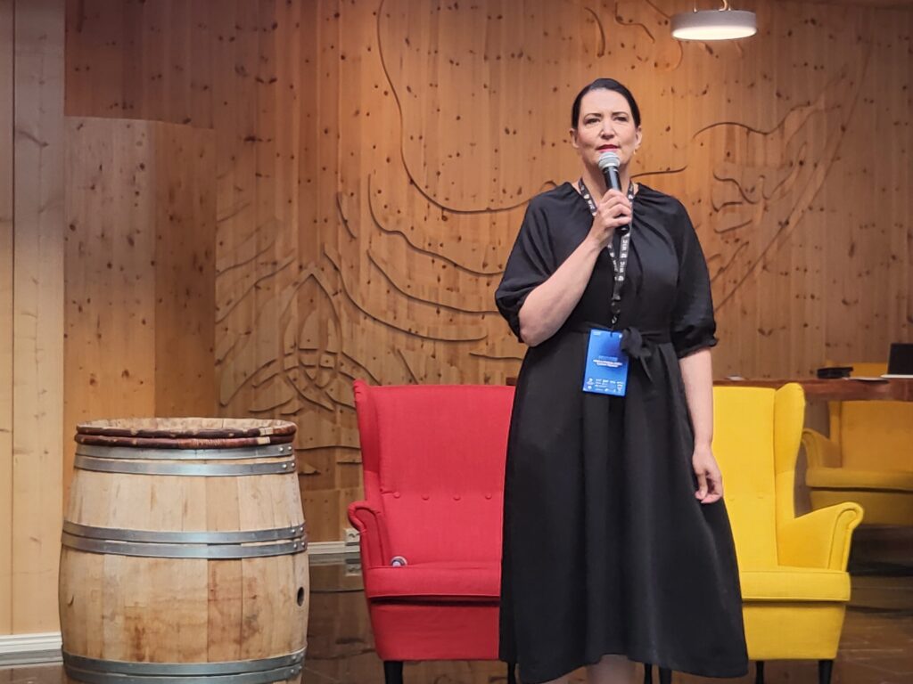 Riikka Pirkkalainen. Kajanaland, Kainuu, Wasa Future Festival