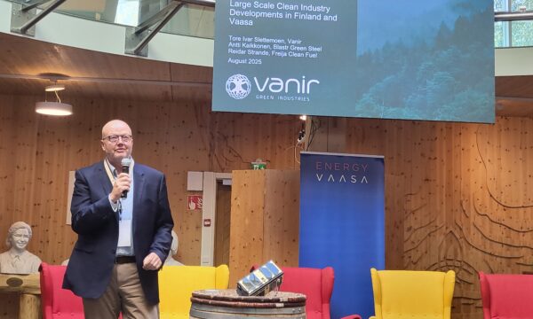Tore Ivar Slettemoen, Vanir, Wasa Future Festival