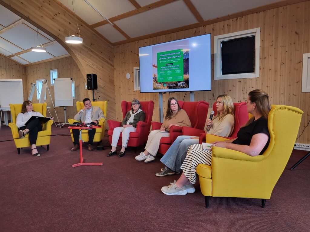 Anna Bertills, Christoffer Ingo, Maria Swanljung, Susanne West, Annica Ingström, Meira-Pia Lohiluoma. Wasa Future Festival